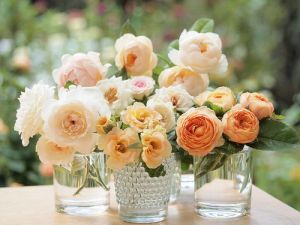 Flowers in vases - multiple vases with orange flowers.jpg